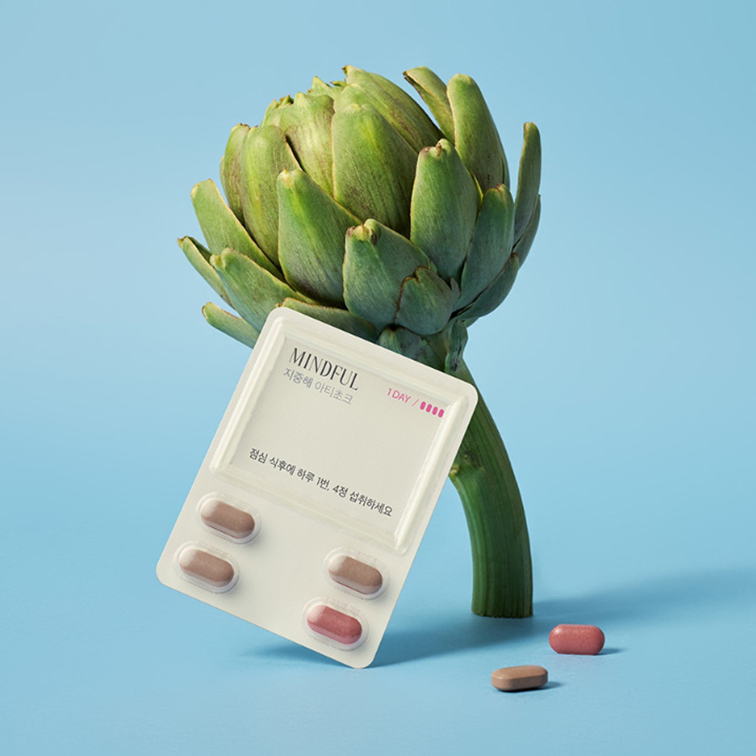 FOODOLOGY Mindful Artichoke 10 Packs