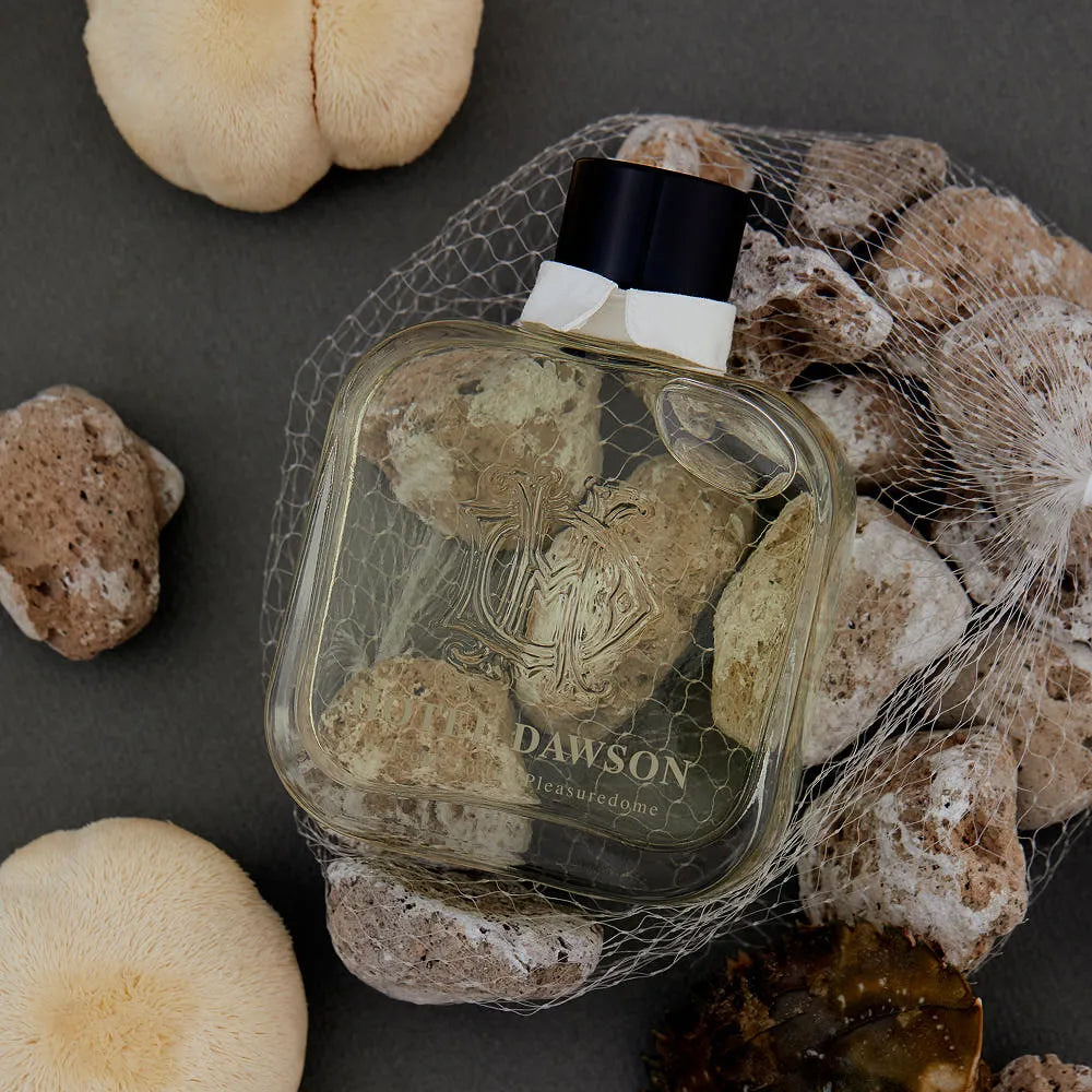 HOTEL DAWSON Welcome to the Pleasuredome Room Diffuser (250ml) - Black Cherry, Musky & Sweet Scent (Main Diffuser + Fur Coaster + 5 Reed Sticks Set)
